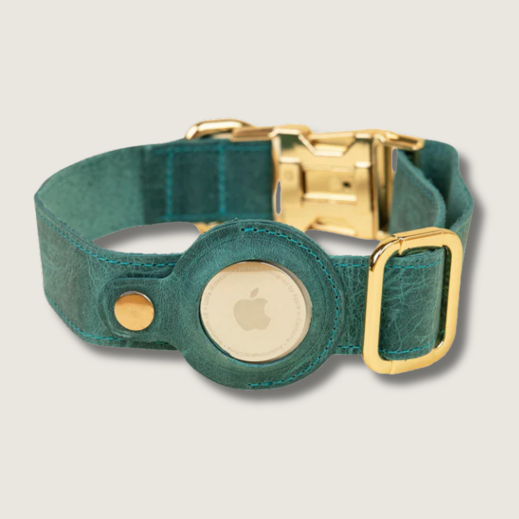 Stylish Leather AirTag Dog Collar - Turquoise - Davie