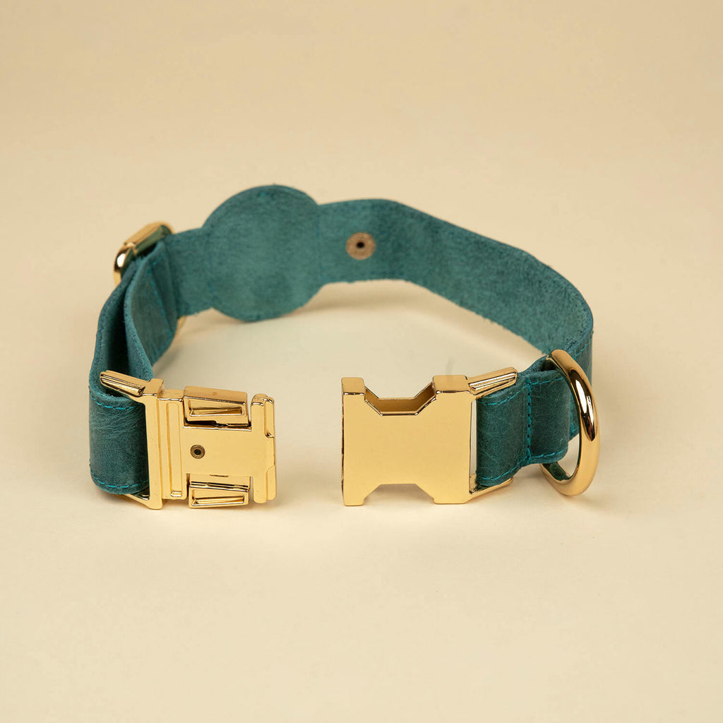 Stylish Leather AirTag Dog Collar - Turquoise - Davie